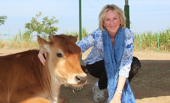 Ingrid Newkirk with cow