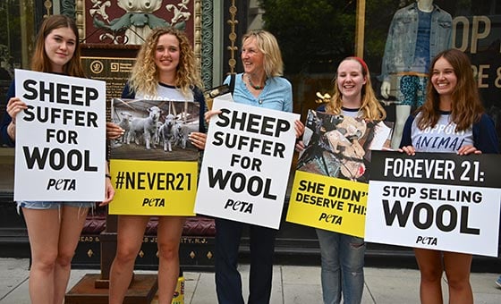 Ingrid Newkirk and wool protest